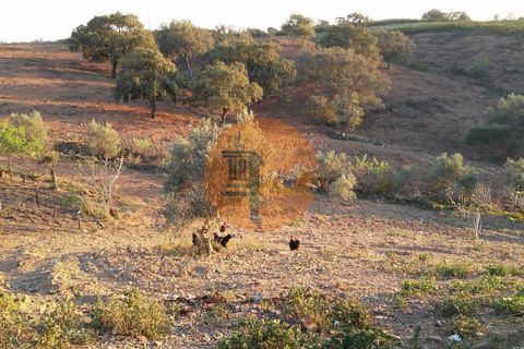 Helårsgrund i Castro Marim, Faro, Castro Marim - € 150.000 | Ref: SU-CS-TU-4011 - foto 25