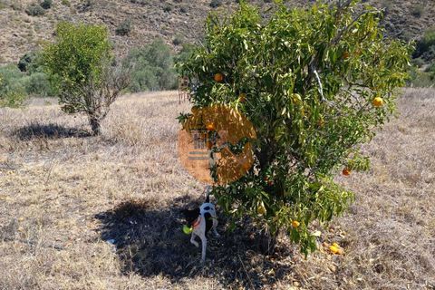 Helårsgrund i Castro Marim, Faro, Castro Marim - € 85.000 | Ref: SU-CS-TR-90263 - foto 25