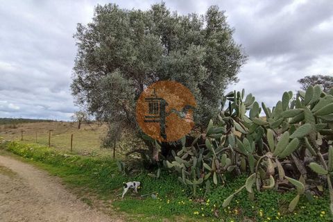 Terra a Castro Marim, Faro, Castro Marim - € 95.000 | Ref: SU-CS-TR-89063 - foto 16