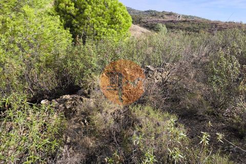 Helårsgrund i Castro Marim, Faro, Castro Marim - € 50.000 | Ref: SU-CS-TR-92603 - foto 11