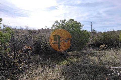 Helårsgrund i Castro Marim, Faro, Castro Marim - € 50.000 | Ref: SU-CS-TR-92603 - foto 12