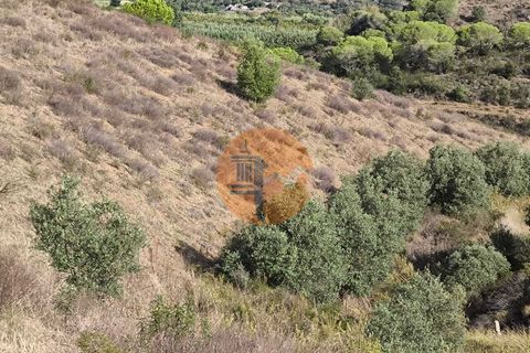 Helårsgrund i Castro Marim, Faro, Castro Marim - € 50.000 | Ref: SU-CS-TR-92603 - foto 23
