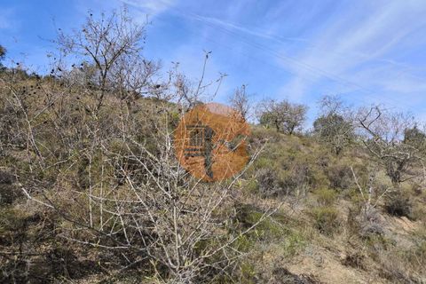 Helårsgrund i Castro Marim, Faro, Castro Marim - € 13.500 | Ref: SU-CS-TR-92604 - foto 9