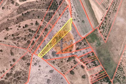 Helårsgrund i Castro Marim, Faro, Castro Marim - € 13.500 | Ref: SU-CS-TR-92604 - foto 21