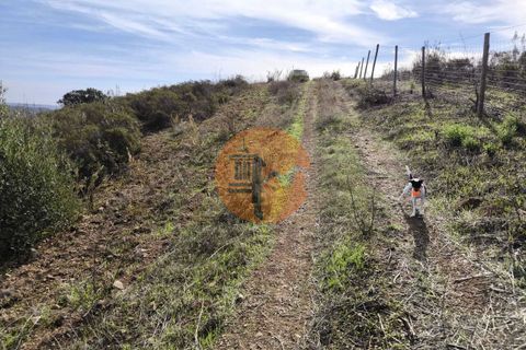 Helårsgrund i Castro Marim, Faro, Castro Marim - € 14.900 | Ref: SU-CS-TR-92606 - foto 13