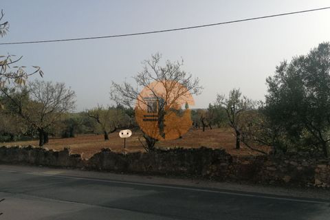Terra a Estoi, Faro, Estoi - € 460.000 | Ref: SU-CS-TU-87834 - foto 4