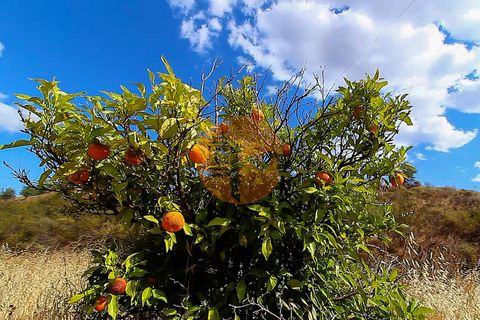Helårsgrund i Castro Marim, Faro, Castro Marim - € 460.000 | Ref: SU-CS-TU-82709 - foto 19