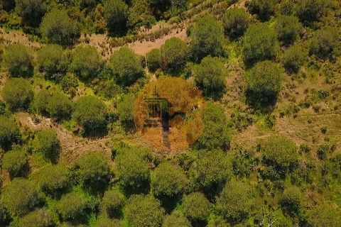Helårsgrund i Castro Marim, Faro, Castro Marim - € 440.000 | Ref: SU-CS-TR-91287 - foto 21