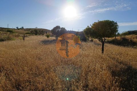 Helårsgrund i Castro Marim, Faro, Castro Marim - € 499.000 | Ref: SU-CS-TM-87613 - foto 5