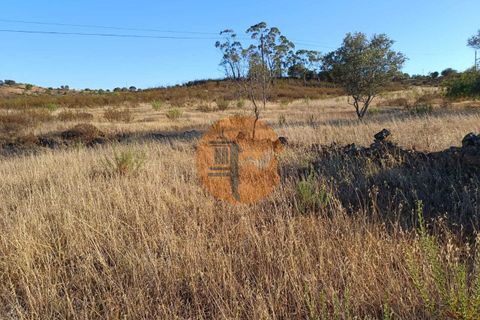 Helårsgrund i Castro Marim, Faro, Castro Marim - € 499.000 | Ref: SU-CS-TM-87613 - foto 13