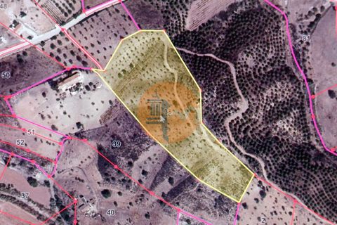 Helårsgrund i Castro Marim, Faro, Castro Marim - € 60.000 | Ref: SU-CS-TR-88548 - foto 2