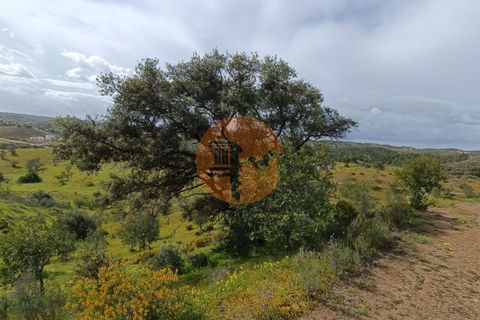 Helårsgrund i Castro Marim, Faro, Castro Marim - € 60.000 | Ref: SU-CS-TR-88548 - foto 3