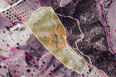 Helårsgrund i Castro Marim, Faro, Castro Marim - € 60.000 | Ref: SU-CS-TR-88548 - foto 19