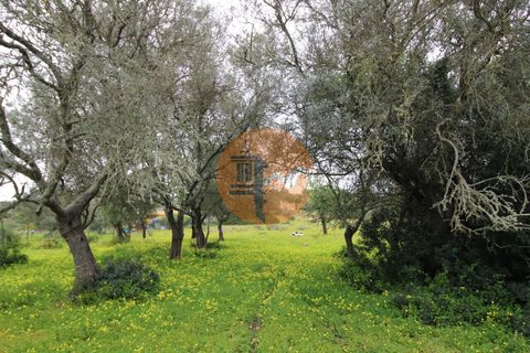 Helårsgrund i Olhao, Faro, Olhao - € 240.000 | Ref: SU-CS-TM-89372 - foto 12
