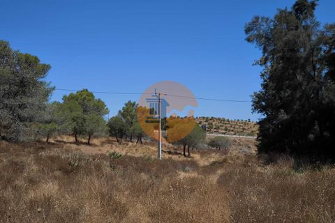 Helårsgrund i Castro Marim, Faro, Castro Marim - € 69.000 | Ref: SU-CS-TR-92085 - foto 4