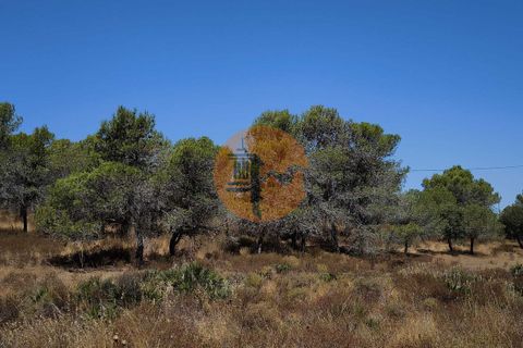 Helårsgrund i Castro Marim, Faro, Castro Marim - € 69.000 | Ref: SU-CS-TR-92085 - foto 5