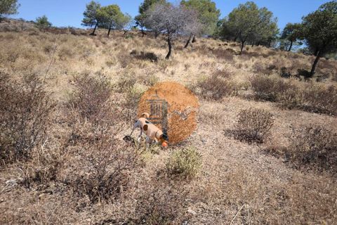Helårsgrund i Castro Marim, Faro, Castro Marim - € 69.000 | Ref: SU-CS-TR-92085 - foto 15