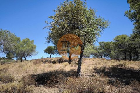 Helårsgrund i Castro Marim, Faro, Castro Marim - € 69.000 | Ref: SU-CS-TR-92085 - foto 20