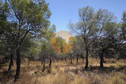 Helårsgrund i Castro Marim, Faro, Castro Marim - € 69.000 | Ref: SU-CS-TR-92085 - foto 24