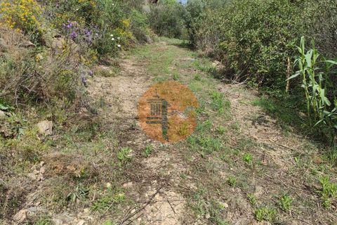 Helårsgrund i Castro Marim, Faro, Castro Marim - € 14.900 | Ref: SU-CS-TR-83352 - foto 17