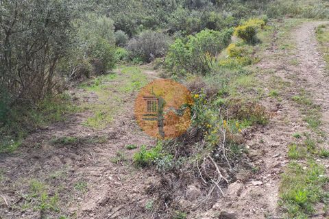 Helårsgrund i Castro Marim, Faro, Castro Marim - € 14.900 | Ref: SU-CS-TR-83352 - foto 18
