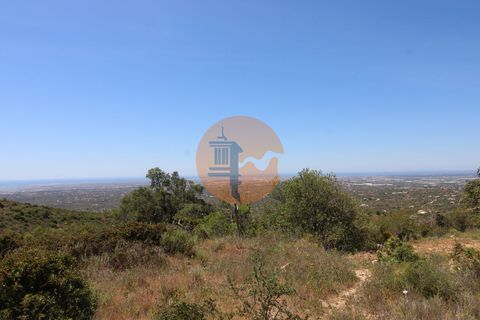 Terra a Estoi, Faro, Estoi - € 35.000 | Ref: SU-CS-TR-89769 - foto 2