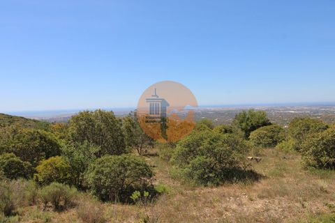 Terra a Estoi, Faro, Estoi - € 35.000 | Ref: SU-CS-TR-89769 - foto 4