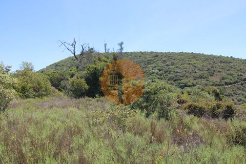 Terra a Estoi, Faro, Estoi - € 35.000 | Ref: SU-CS-TR-89769 - foto 6