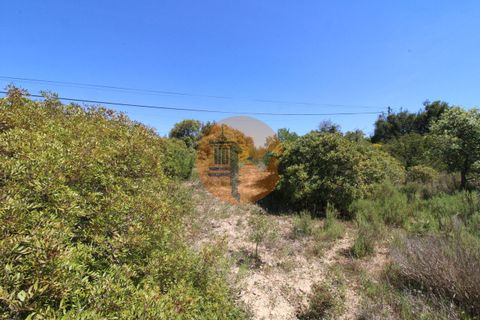 Terra a Estoi, Faro, Estoi - € 35.000 | Ref: SU-CS-TR-89769 - foto 7