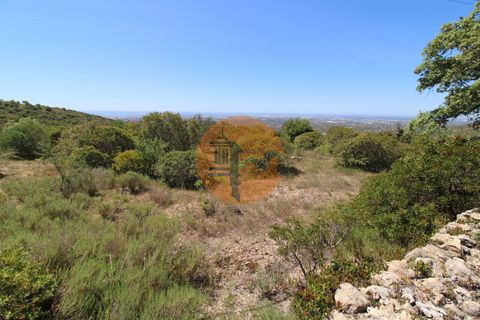 Terra a Estoi, Faro, Estoi - € 35.000 | Ref: SU-CS-TR-89769 - foto 8