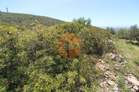 Terra a Estoi, Faro, Estoi - € 35.000 | Ref: SU-CS-TR-89769 - foto 9