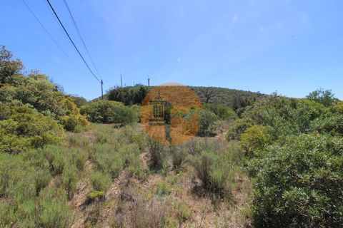 Terra a Estoi, Faro, Estoi - € 35.000 | Ref: SU-CS-TR-89769 - foto 10