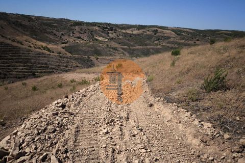 Helårsgrund i Castro Marim, Faro, Castro Marim - € 18.500 | Ref: SU-CS-TR-91911 - foto 17