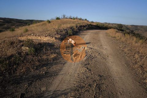 Helårsgrund i Castro Marim, Faro, Castro Marim - € 18.500 | Ref: SU-CS-TR-91911 - foto 20