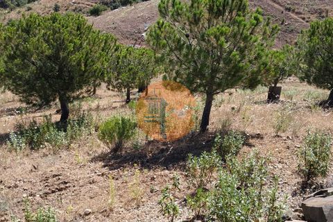 Helårsgrund i Castro Marim, Faro, Castro Marim - € 34.900 | Ref: SU-CS-TR-87206 - foto 24