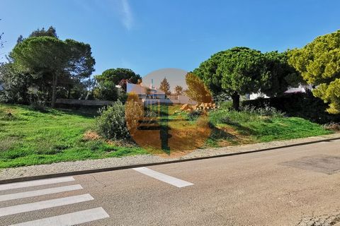 Helårsgrund i Lagoa, Faro, Lagoa - € 495.000 | Ref: SU-CS-TER-87983 - foto 5