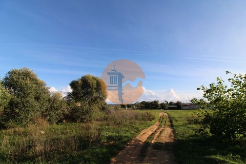 Helårsgrund i Olhao, Faro, Olhao - € 1.700.000 | Ref: SU-CS-TM-88351 - foto 7