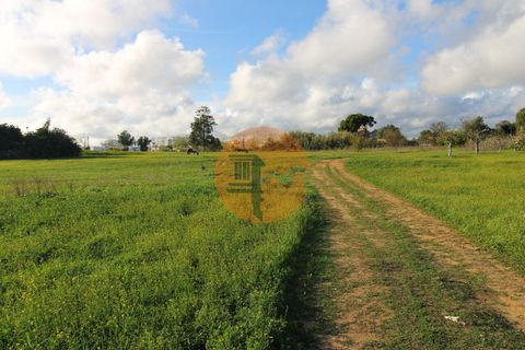 Helårsgrund i Olhao, Faro, Olhao - € 1.700.000 | Ref: SU-CS-TM-88351 - foto 9