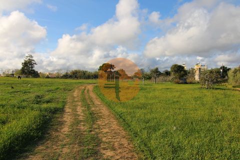 Helårsgrund i Olhao, Faro, Olhao - € 1.700.000 | Ref: SU-CS-TM-88351 - foto 13