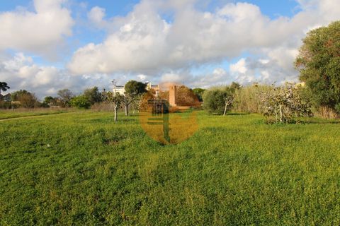 Helårsgrund i Olhao, Faro, Olhao - € 1.700.000 | Ref: SU-CS-TM-88351 - foto 14