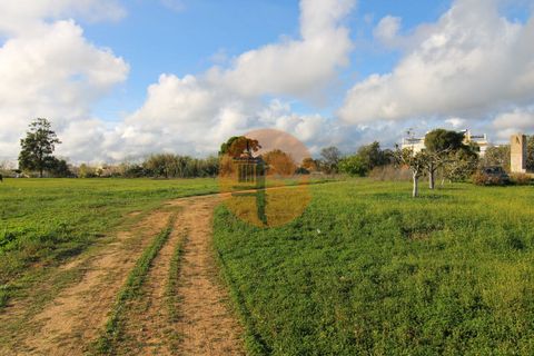 Helårsgrund i Olhao, Faro, Olhao - € 1.700.000 | Ref: SU-CS-TM-88351 - foto 15