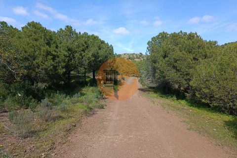 Helårsgrund i Castro Marim, Faro, Castro Marim - € 80.000 | Ref: SU-CS-TER-89058 - foto 3