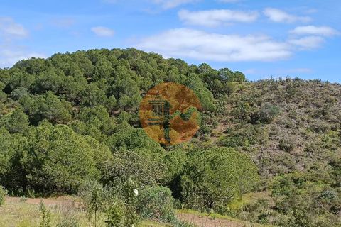 Helårsgrund i Castro Marim, Faro, Castro Marim - € 80.000 | Ref: SU-CS-TER-89058 - foto 7