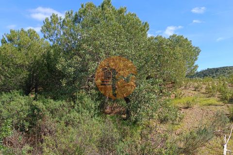Helårsgrund i Castro Marim, Faro, Castro Marim - € 80.000 | Ref: SU-CS-TER-89058 - foto 10