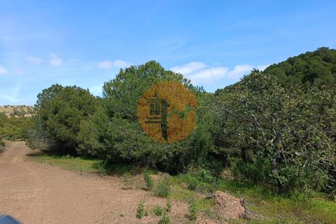 Helårsgrund i Castro Marim, Faro, Castro Marim - € 80.000 | Ref: SU-CS-TER-89058 - foto 11