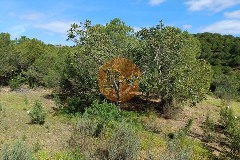 Helårsgrund i Castro Marim, Faro, Castro Marim - € 80.000 | Ref: SU-CS-TER-89058 - foto 12