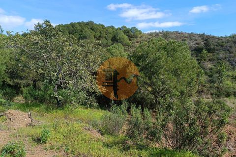 Helårsgrund i Castro Marim, Faro, Castro Marim - € 80.000 | Ref: SU-CS-TER-89058 - foto 13