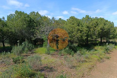 Helårsgrund i Castro Marim, Faro, Castro Marim - € 80.000 | Ref: SU-CS-TER-89058 - foto 16