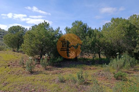 Helårsgrund i Castro Marim, Faro, Castro Marim - € 80.000 | Ref: SU-CS-TER-89058 - foto 17
