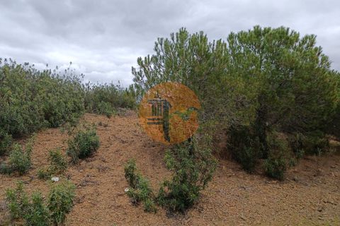 Helårsgrund i Castro Marim, Faro, Castro Marim - € 35.000 | Ref: SU-CS-TR-89060 - foto 3